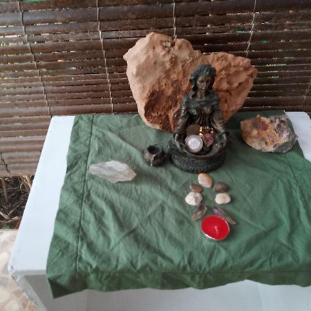 Zen Villas - Chales, Bem-Estar E Conexao Com A Natureza Lauro de Freitas Eksteriør billede