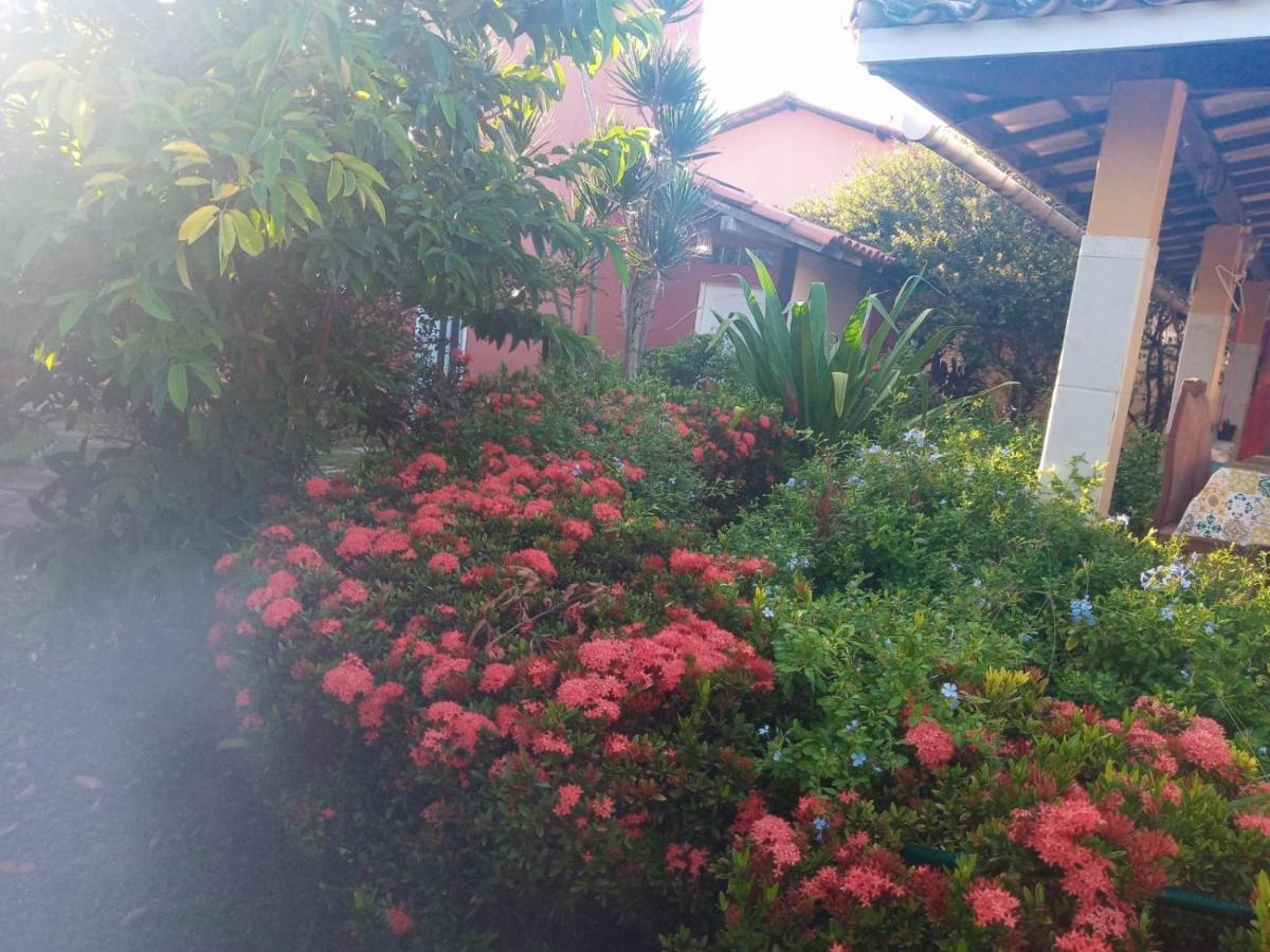 Zen Villas - Chales, Bem-Estar E Conexao Com A Natureza Lauro de Freitas Eksteriør billede