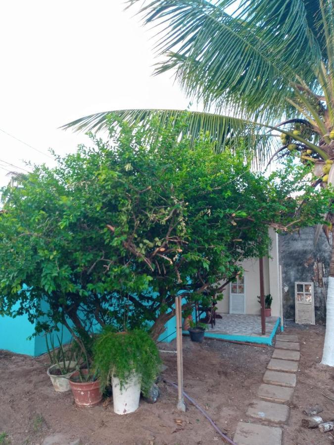 Zen Villas - Chales, Bem-Estar E Conexao Com A Natureza Lauro de Freitas Eksteriør billede