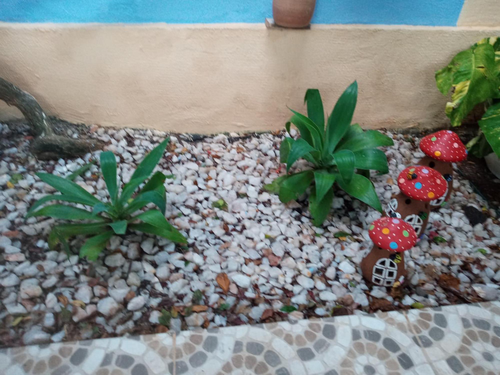 Zen Villas - Chales, Bem-Estar E Conexao Com A Natureza Lauro de Freitas Eksteriør billede