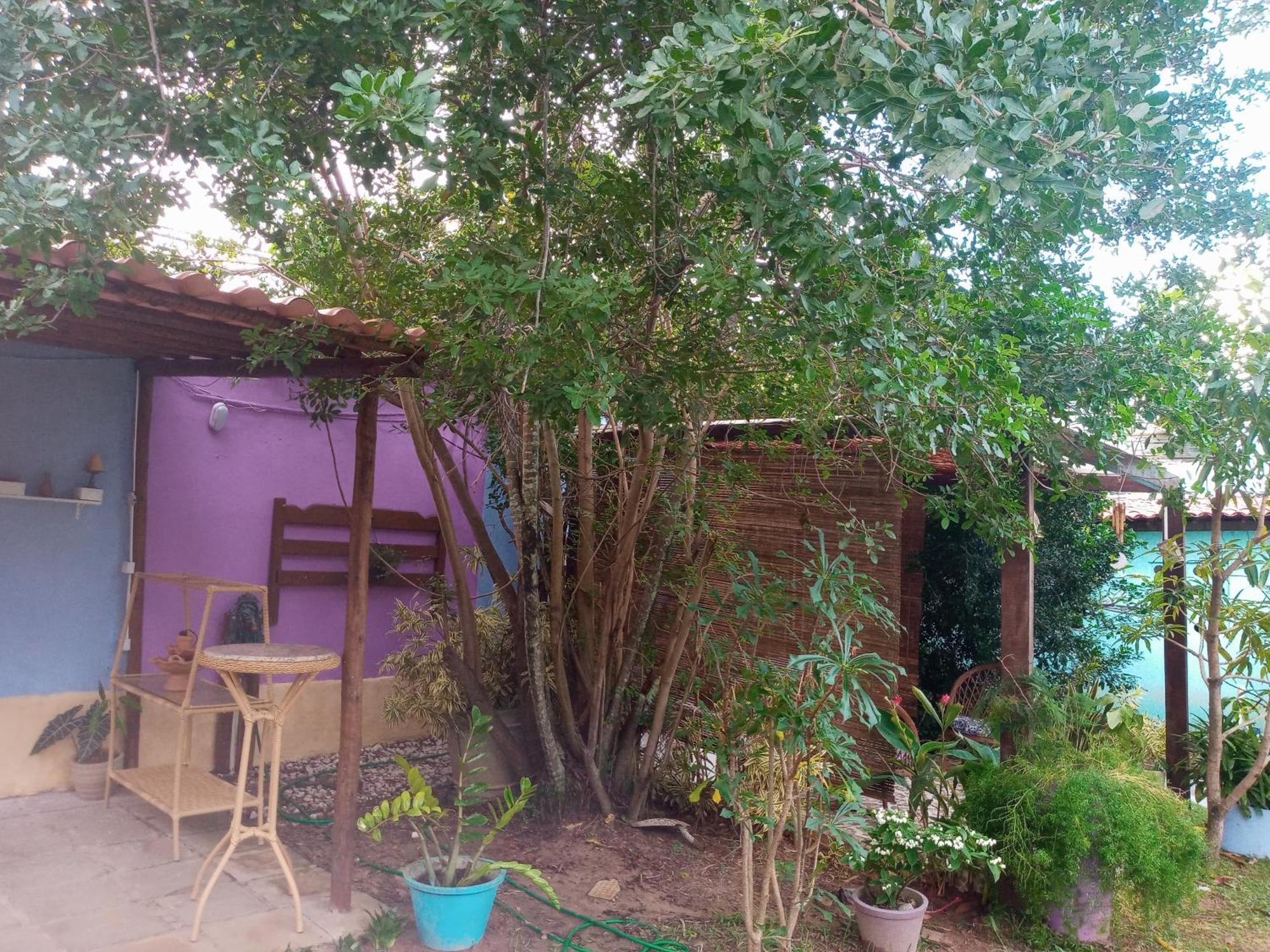 Zen Villas - Chales, Bem-Estar E Conexao Com A Natureza Lauro de Freitas Eksteriør billede