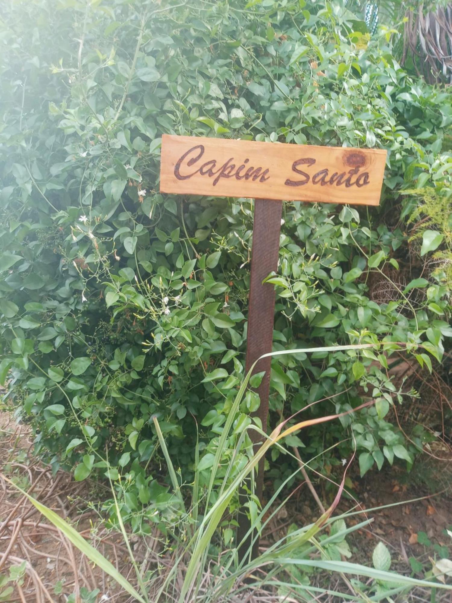 Zen Villas - Chales, Bem-Estar E Conexao Com A Natureza Lauro de Freitas Eksteriør billede